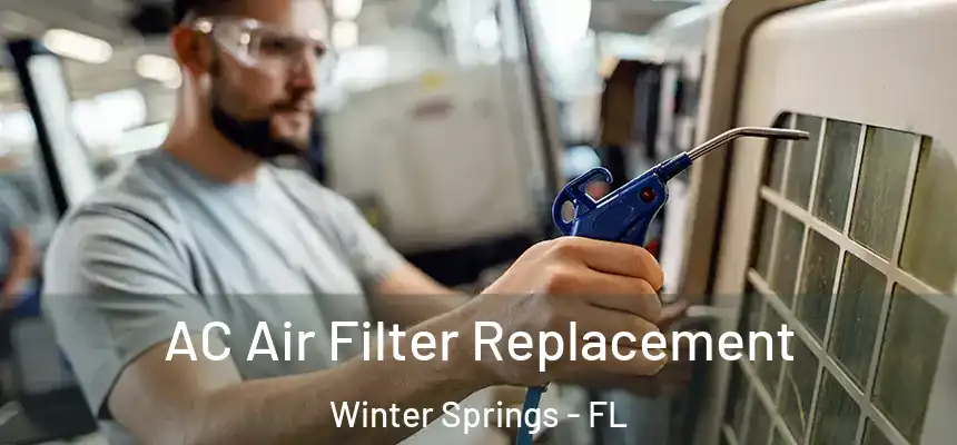  AC Air Filter Replacement Winter Springs - FL