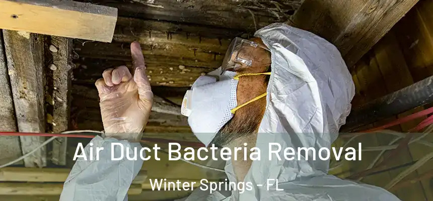 Air Duct Bacteria Removal Winter Springs - FL