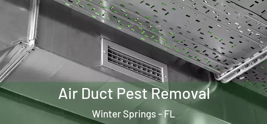  Air Duct Pest Removal Winter Springs - FL
