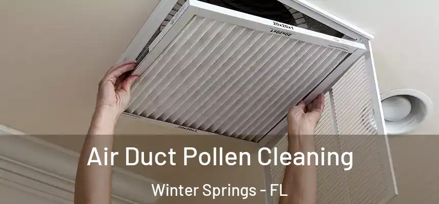 Air Duct Pollen Cleaning Winter Springs - FL