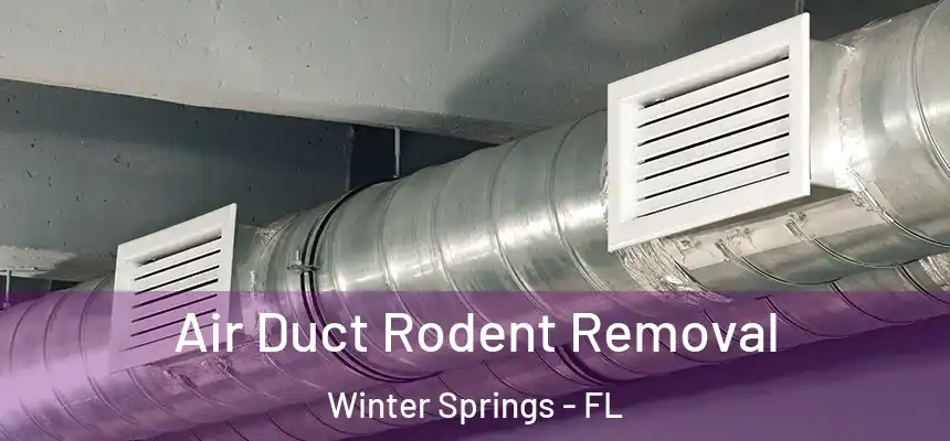  Air Duct Rodent Removal Winter Springs - FL