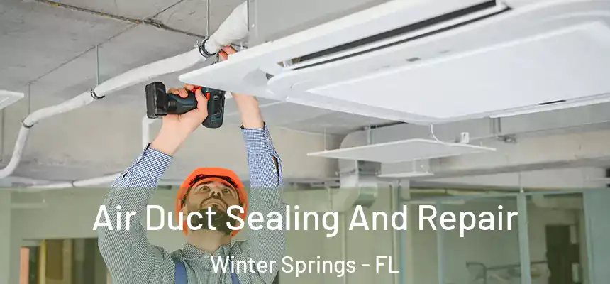 Air Duct Sealing And Repair Winter Springs - FL