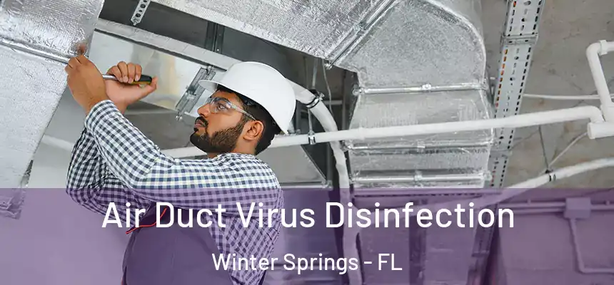 Air Duct Virus Disinfection Winter Springs - FL