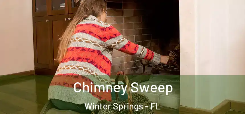  Chimney Sweep Winter Springs - FL