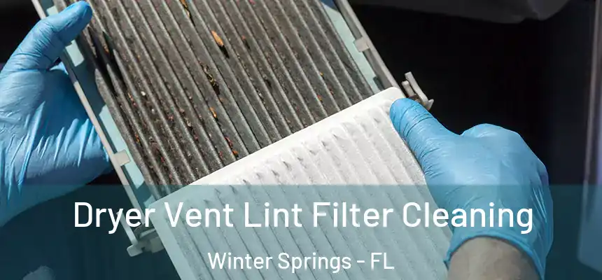 Dryer Vent Lint Filter Cleaning Winter Springs - FL