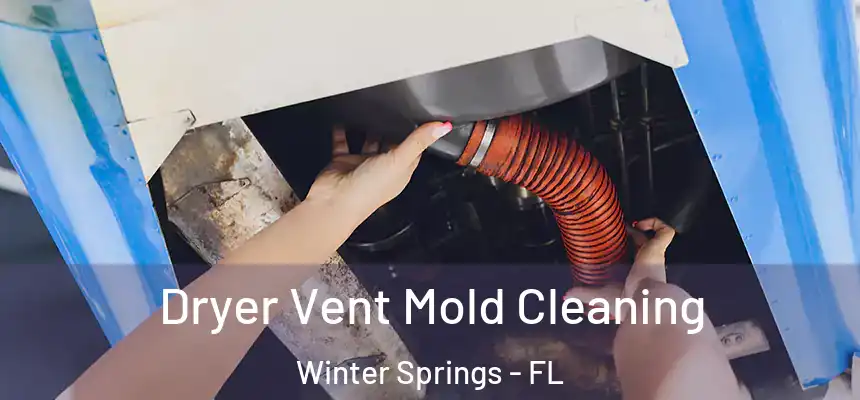 Dryer Vent Mold Cleaning Winter Springs - FL