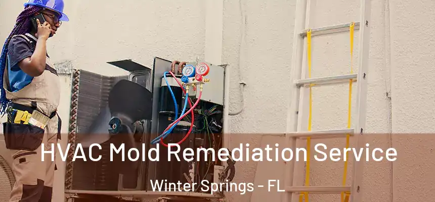 HVAC Mold Remediation Service Winter Springs - FL
