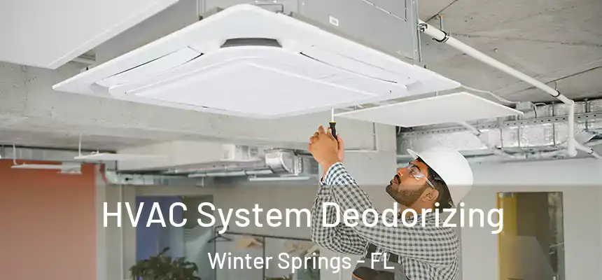 HVAC System Deodorizing Winter Springs - FL