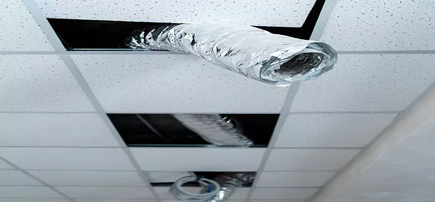 Our Air Duct Pet Hair Removal Services in Winter Springs, FL