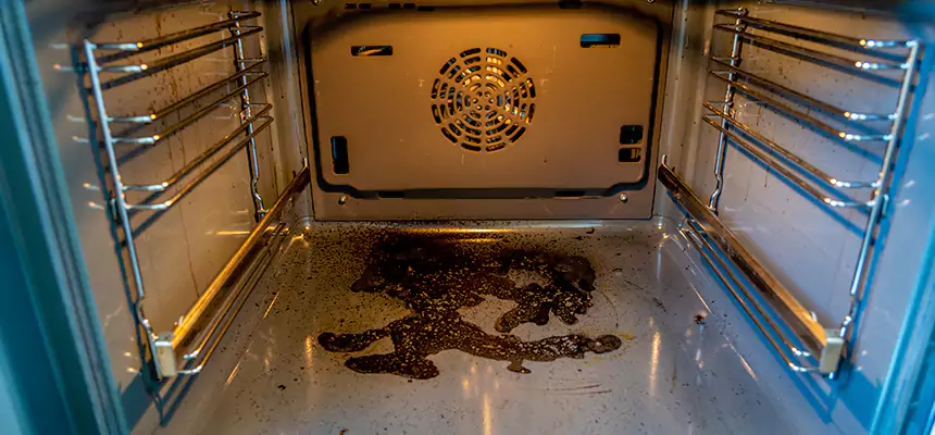 Our Dryer Vent Mold Cleaning Services in Winter Springs, FL