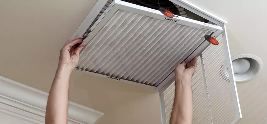 Our Insect Removal from Air Ducts Services in Winter Springs, FL