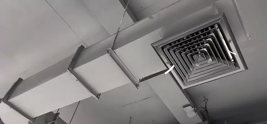 Our Pest Removal From Ducts Services in Winter Springs, FL