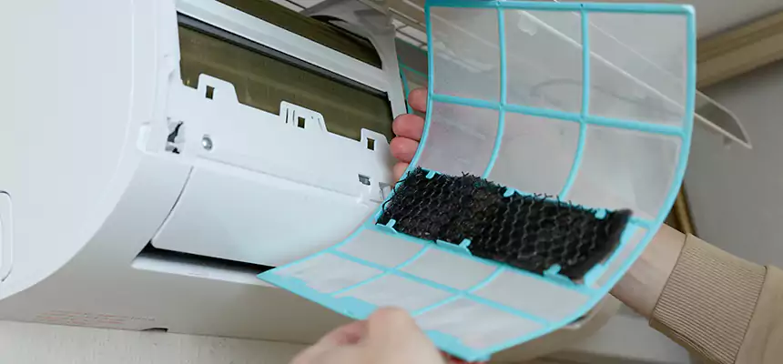 Gentle Ductwork Odor-Control Pet Dander Duct Cleaning in Winter Springs, FL