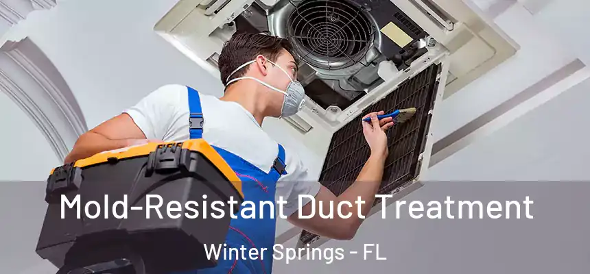 Mold-Resistant Duct Treatment Winter Springs - FL