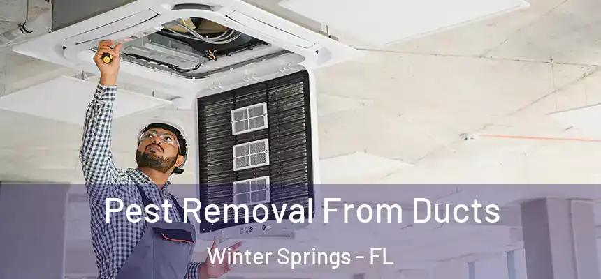  Pest Removal From Ducts Winter Springs - FL