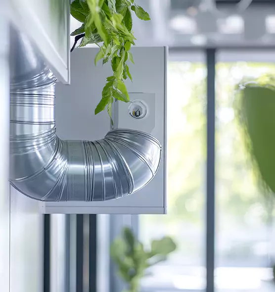 Professional Eco-Friendly Duct Cleaning Services in Winter Springs, FL