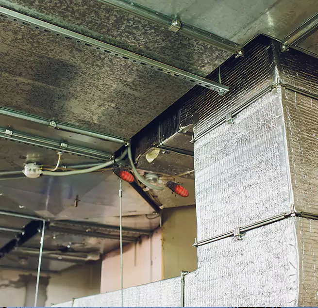 Why Homeowners & Businesses Trust Us in Winter Springs, FL?