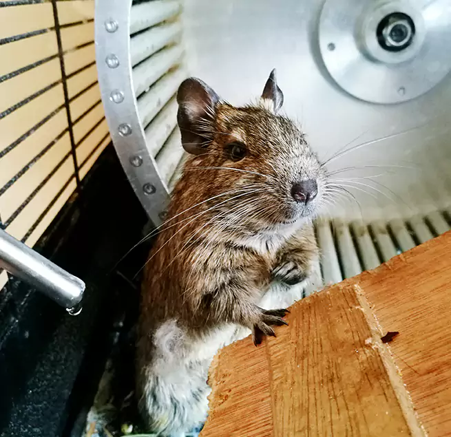 Why Homeowners & Businesses Trust Us Winter Springs, FL