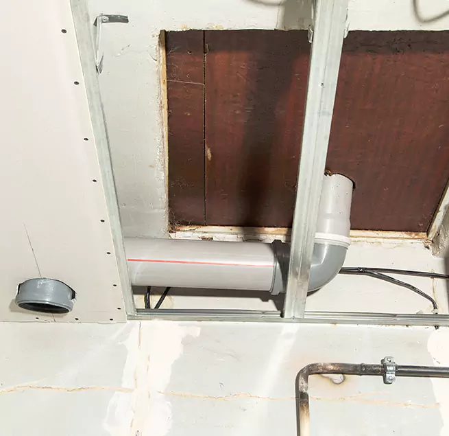 Why Homeowners & Businesses Trust Us in Winter Springs, FL?