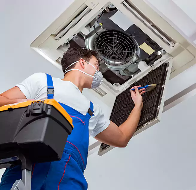 Why Homeowners & Businesses Trust Us in Winter Springs, FL