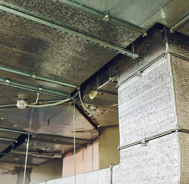 Why Homeowners & Businesses Trust Us in Winter Springs, FL?